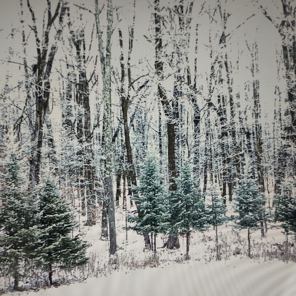 π Sexy PURPLE RUCHED 1 PC SWIMSUIT EUC Croft & Barrow - Picture 15 of 15